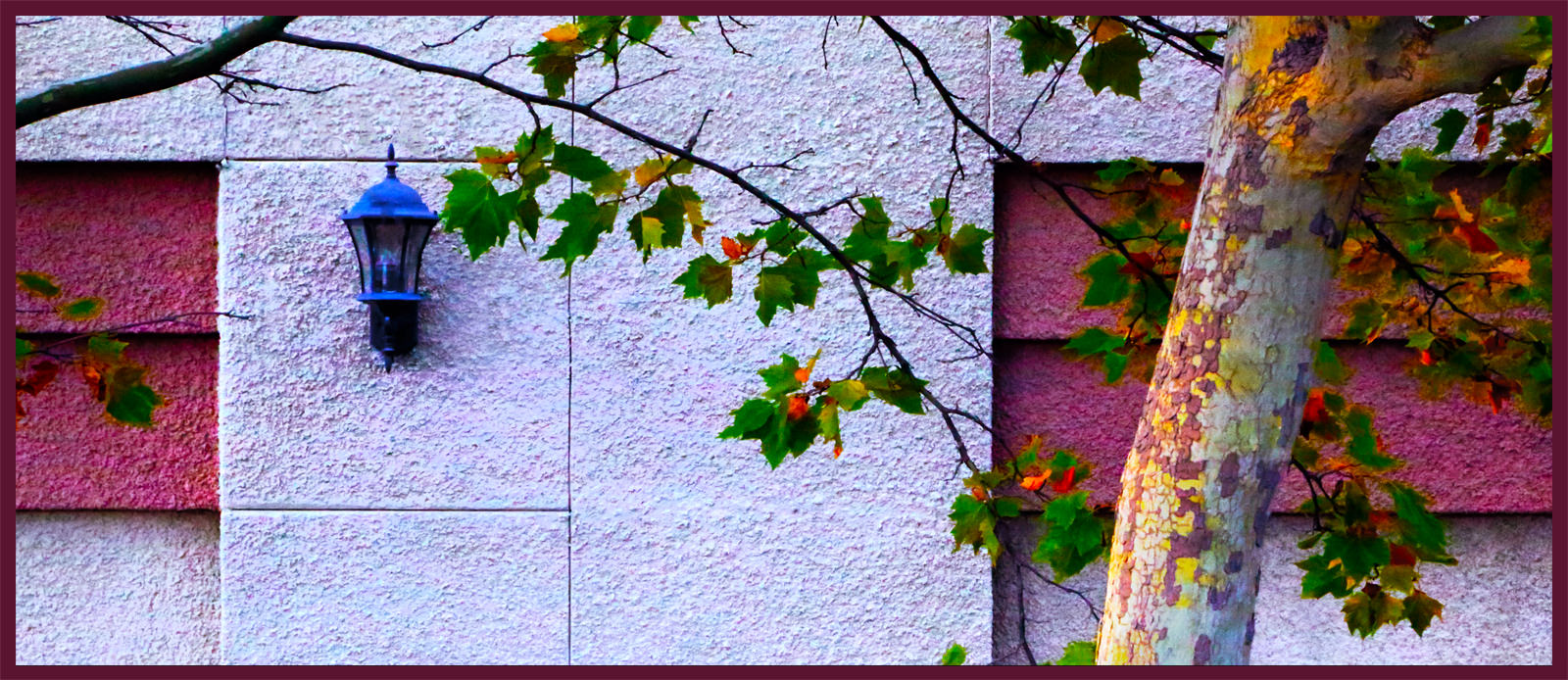 Mall Wall