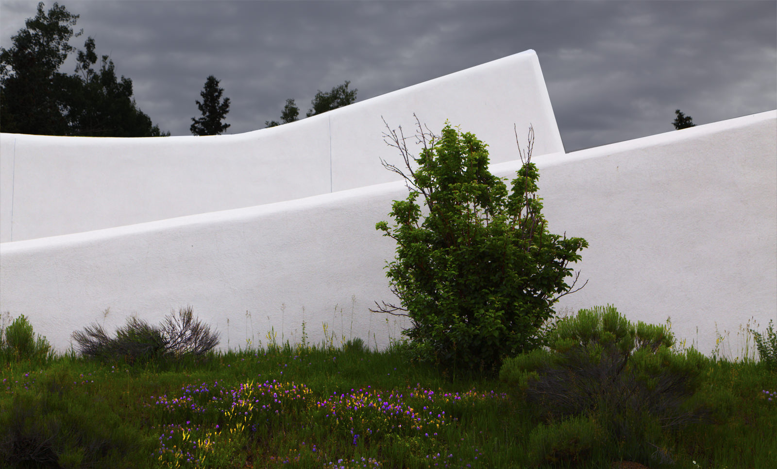 Veteran's Memorial