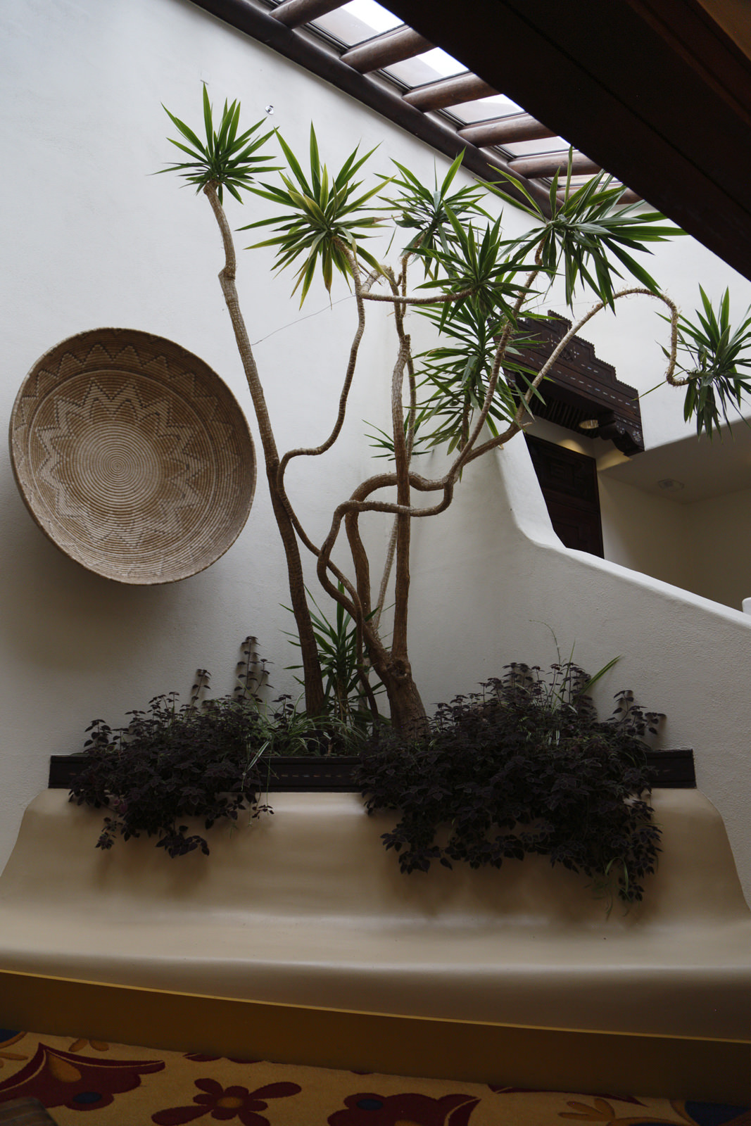 Skylight