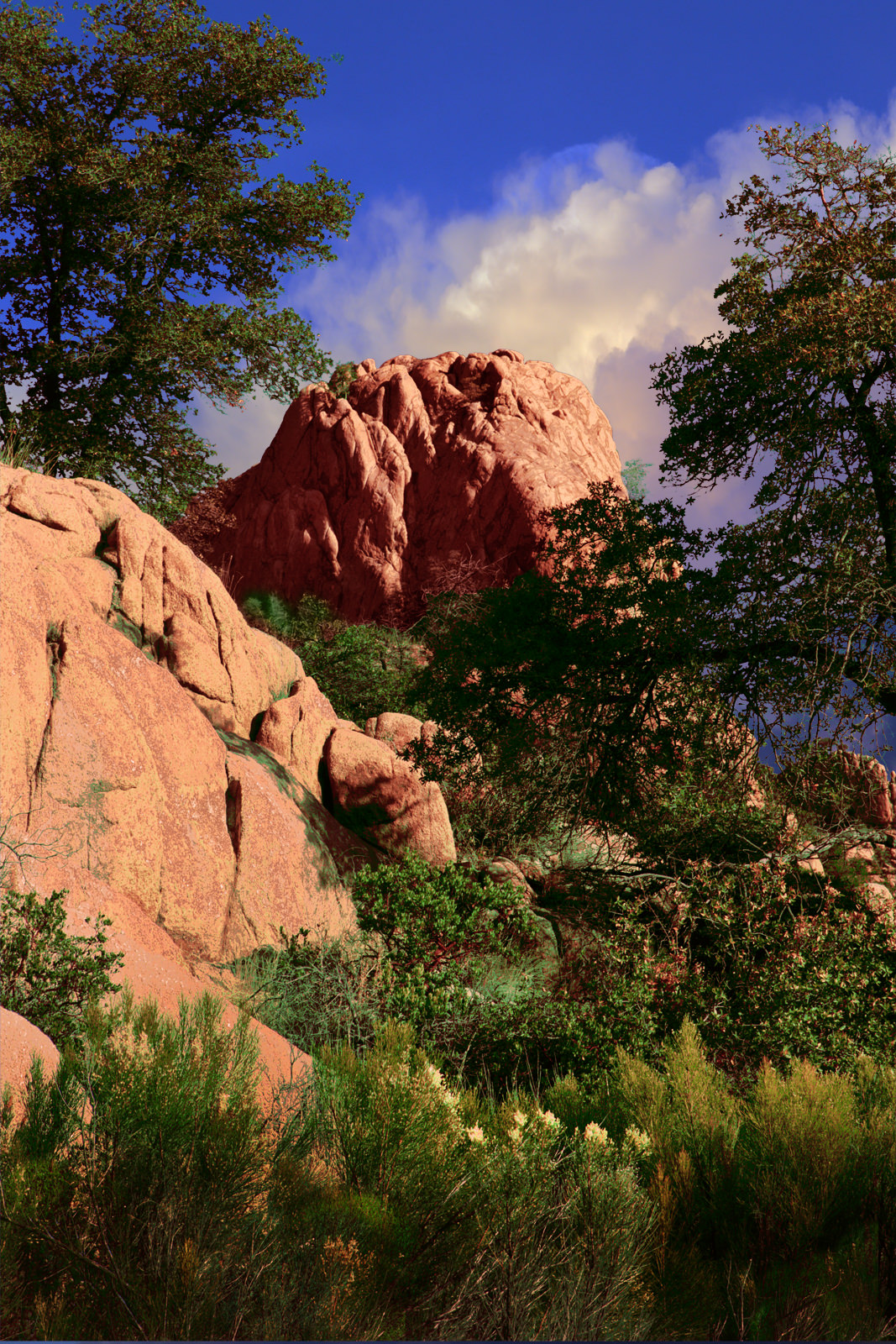 Dome at Granite Dells