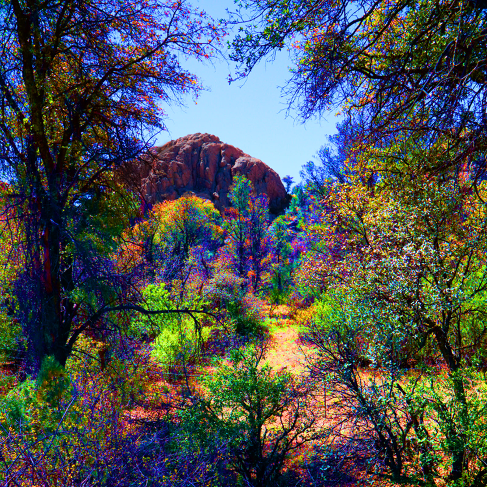 Path Off Iron King Trail