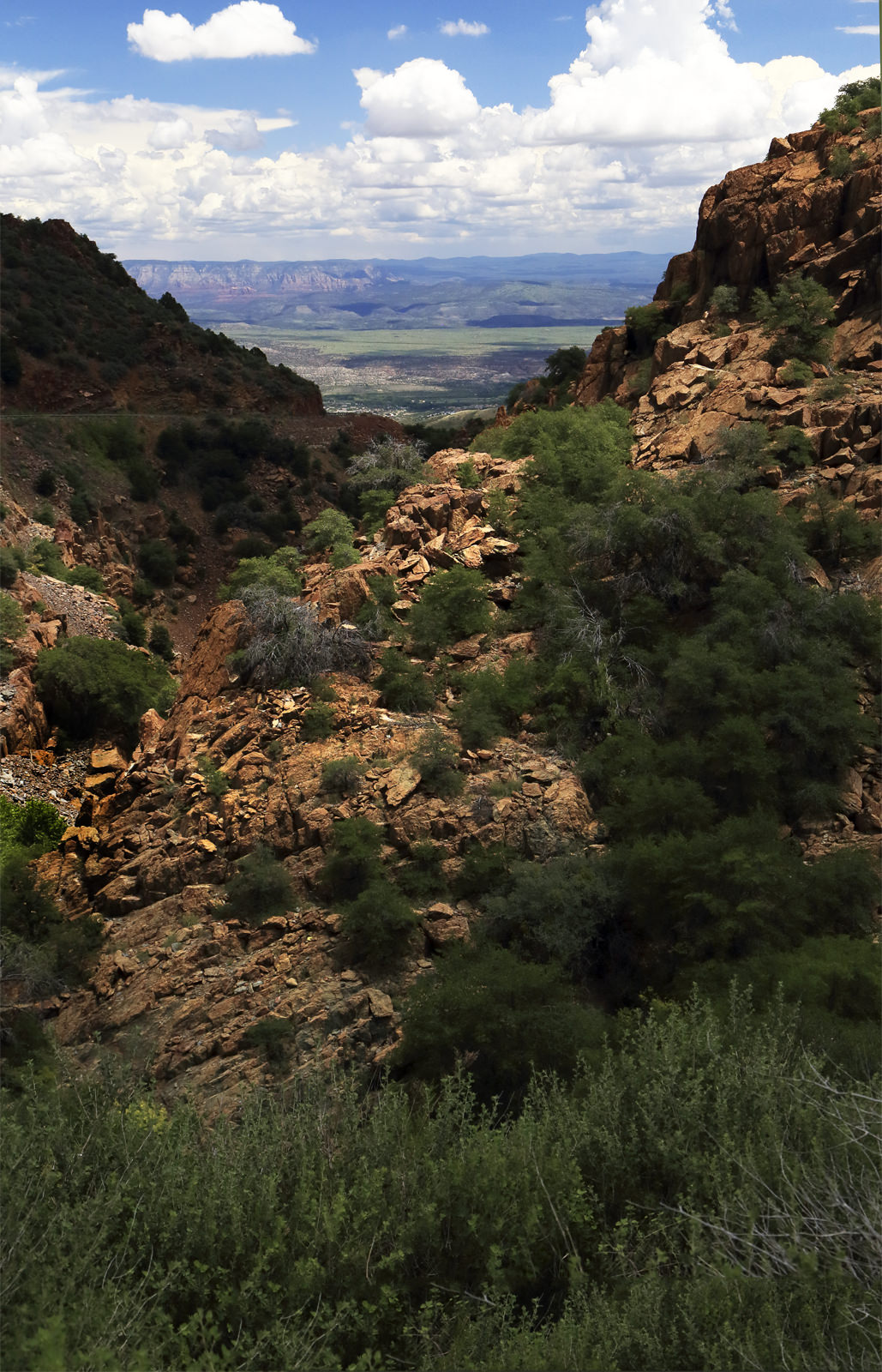 Mingus Mountain