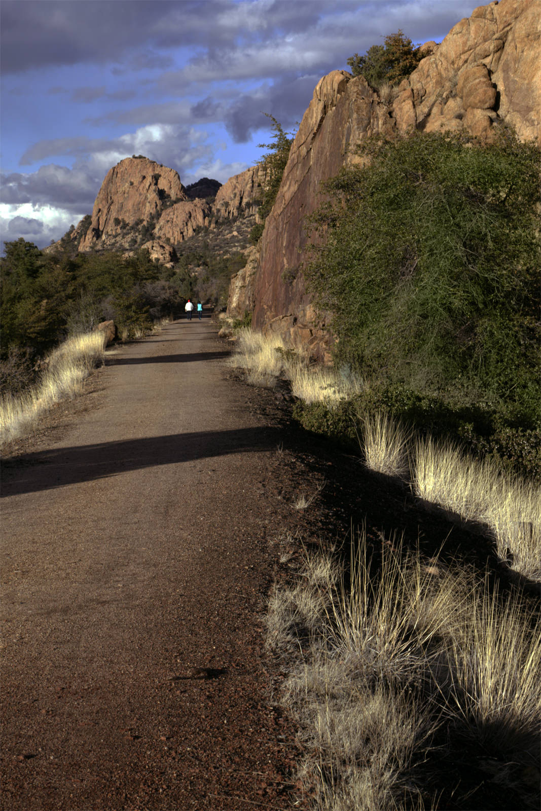 Peavine Trail Cliffs