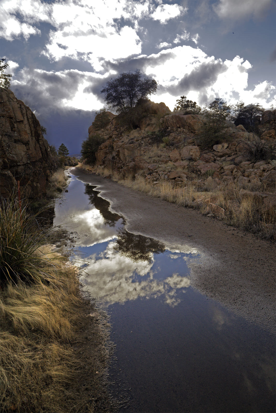 Peavine Trail