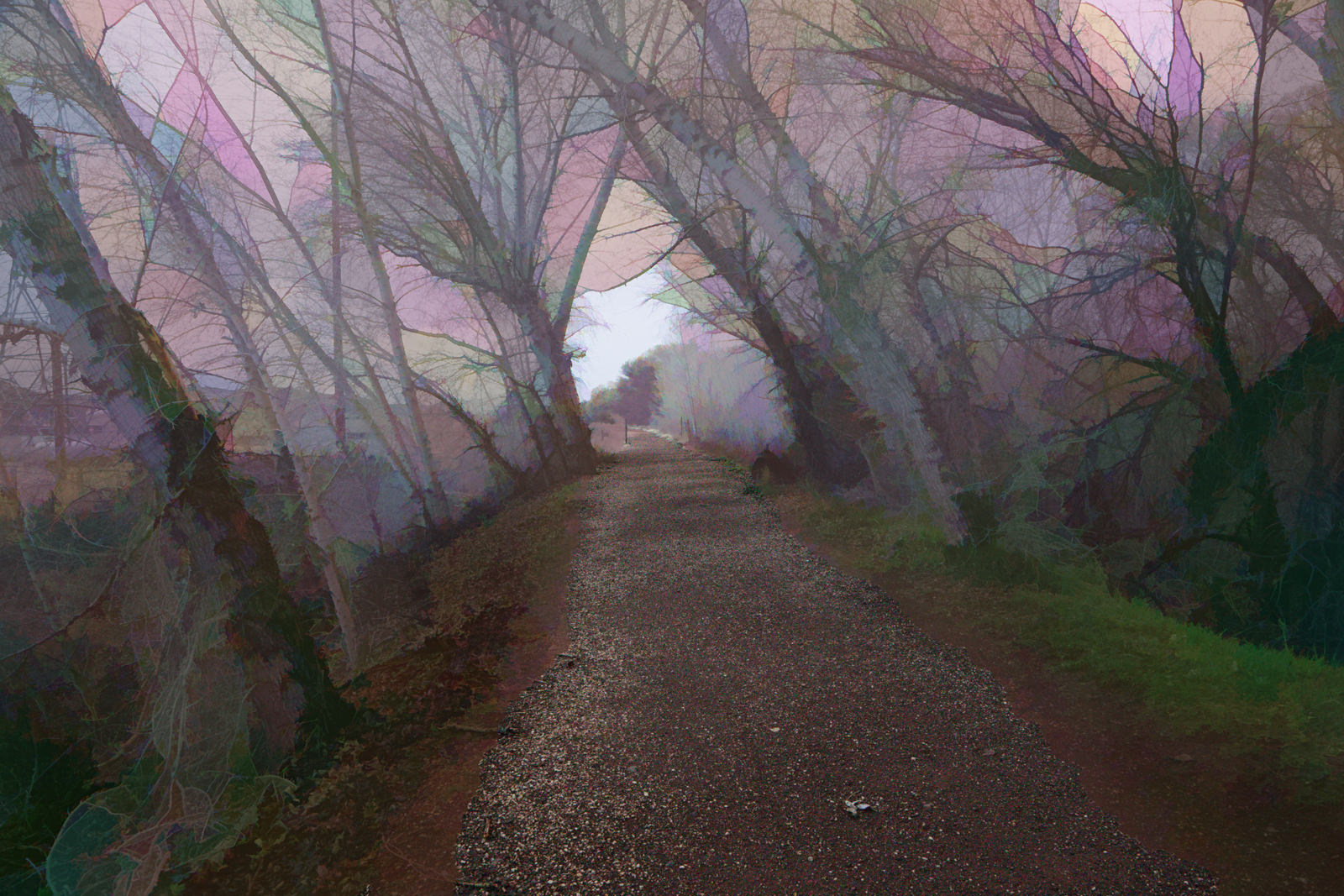 Peavine Trail