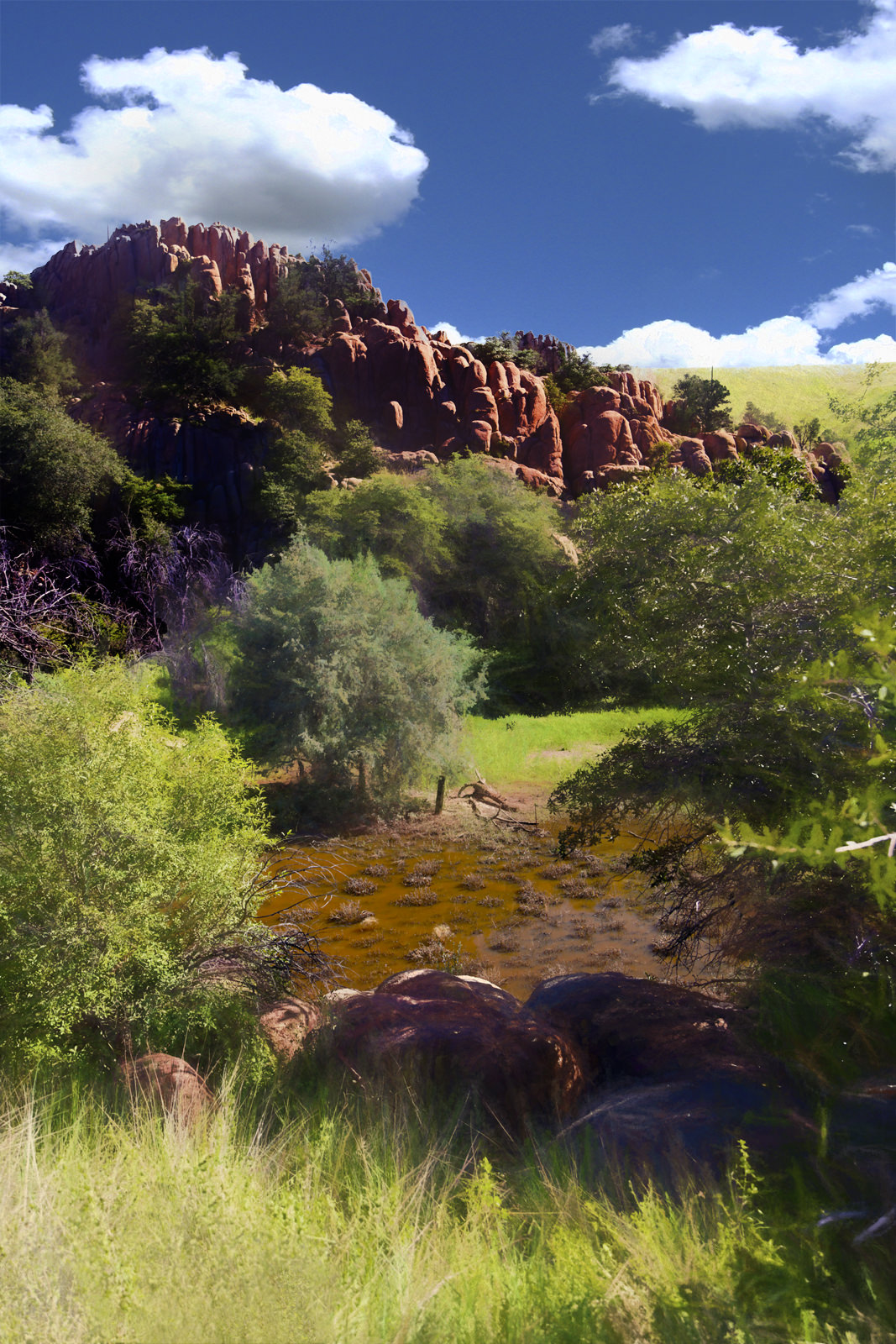 Peavine Trail Meadow