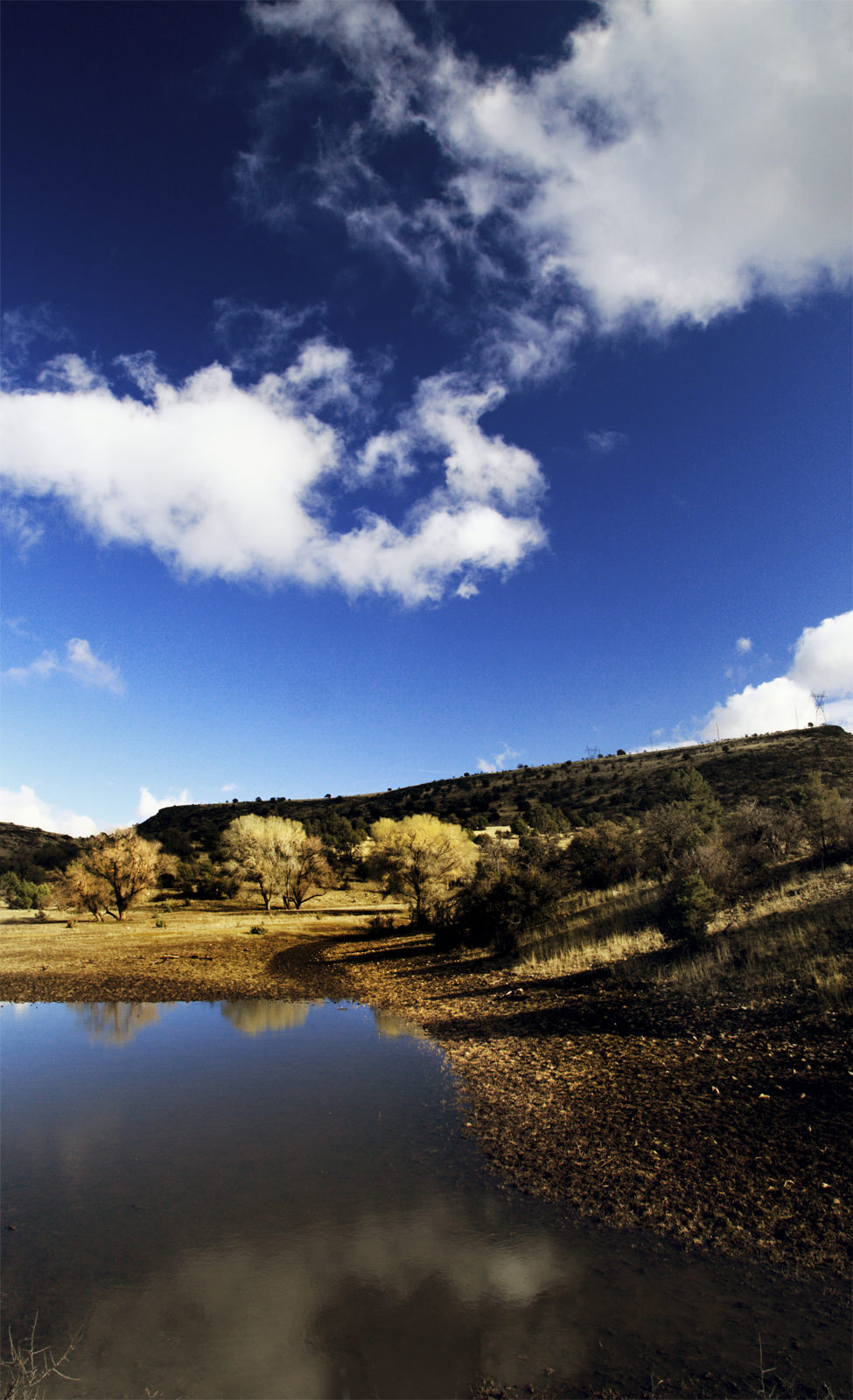 Watson Lake Shoreline from Peavine Trail