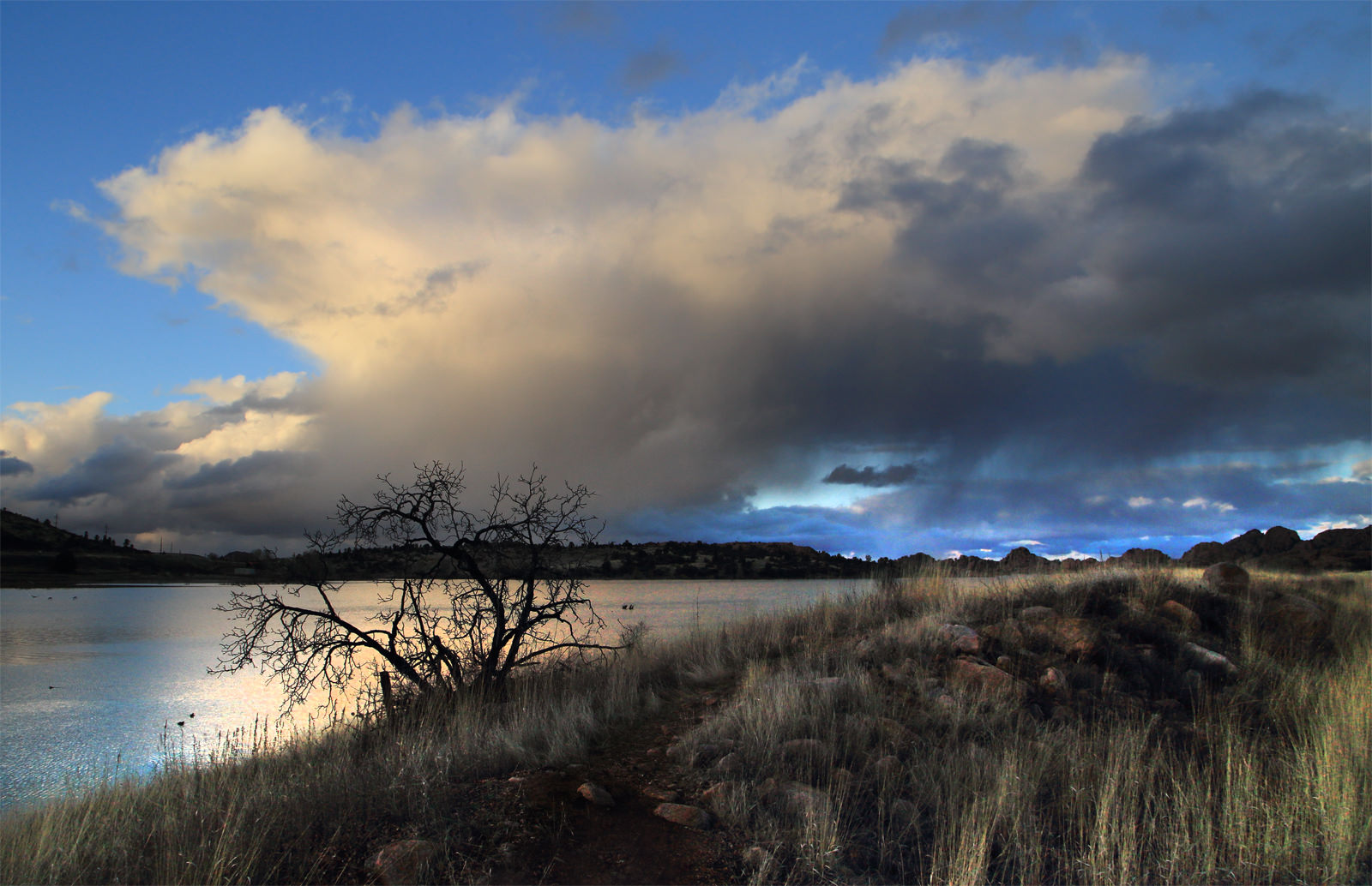 Evening Light at Watson Lake