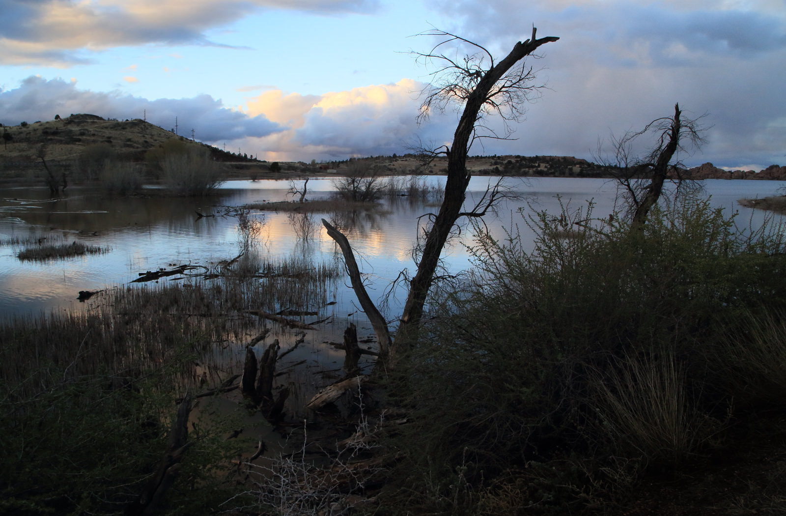 Desert Waters at Watson Lake
