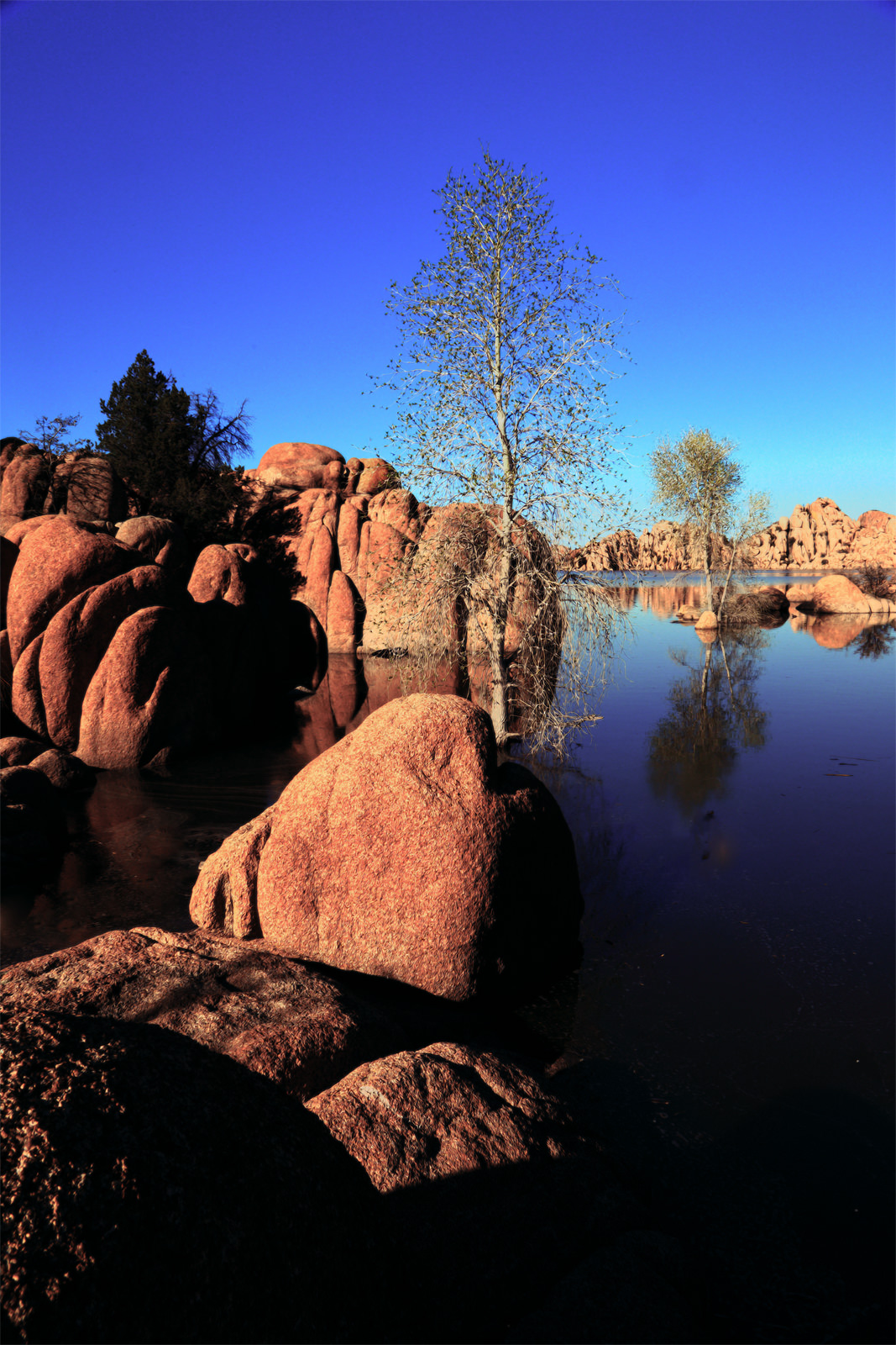 Cove at Watson Lake