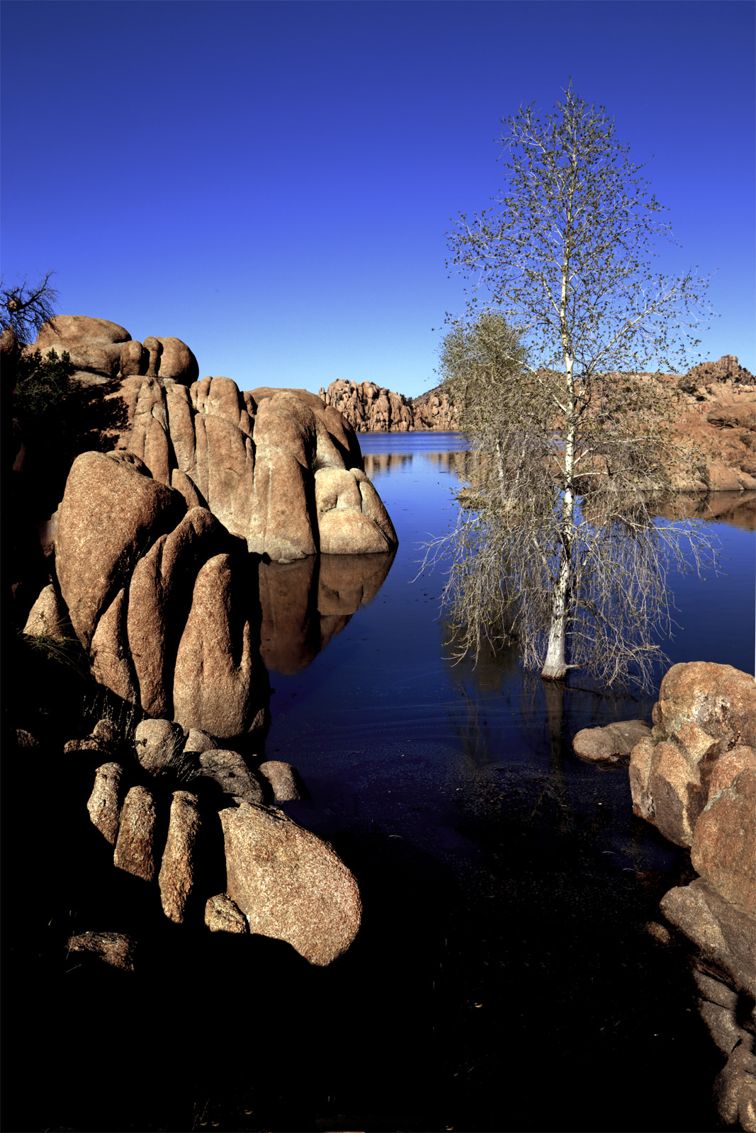 High Waters at Watson Lake