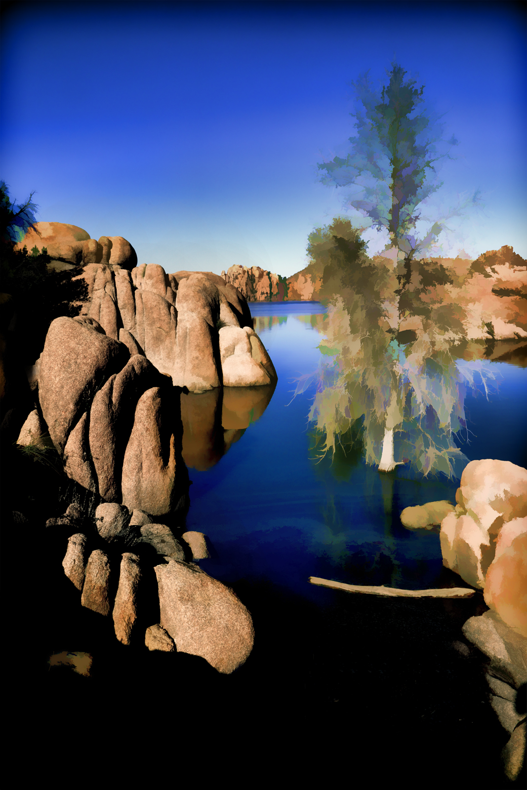 Tree in Watson Lake
