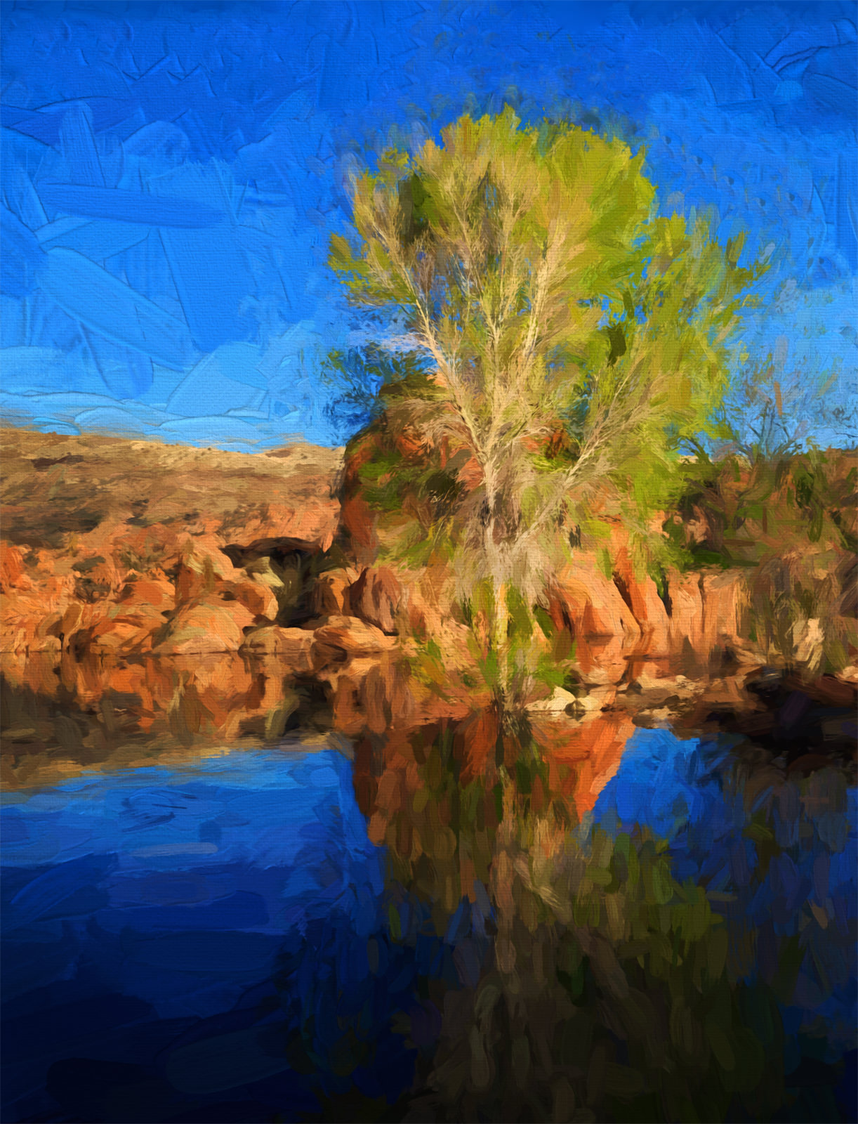Tree on Water's Edge