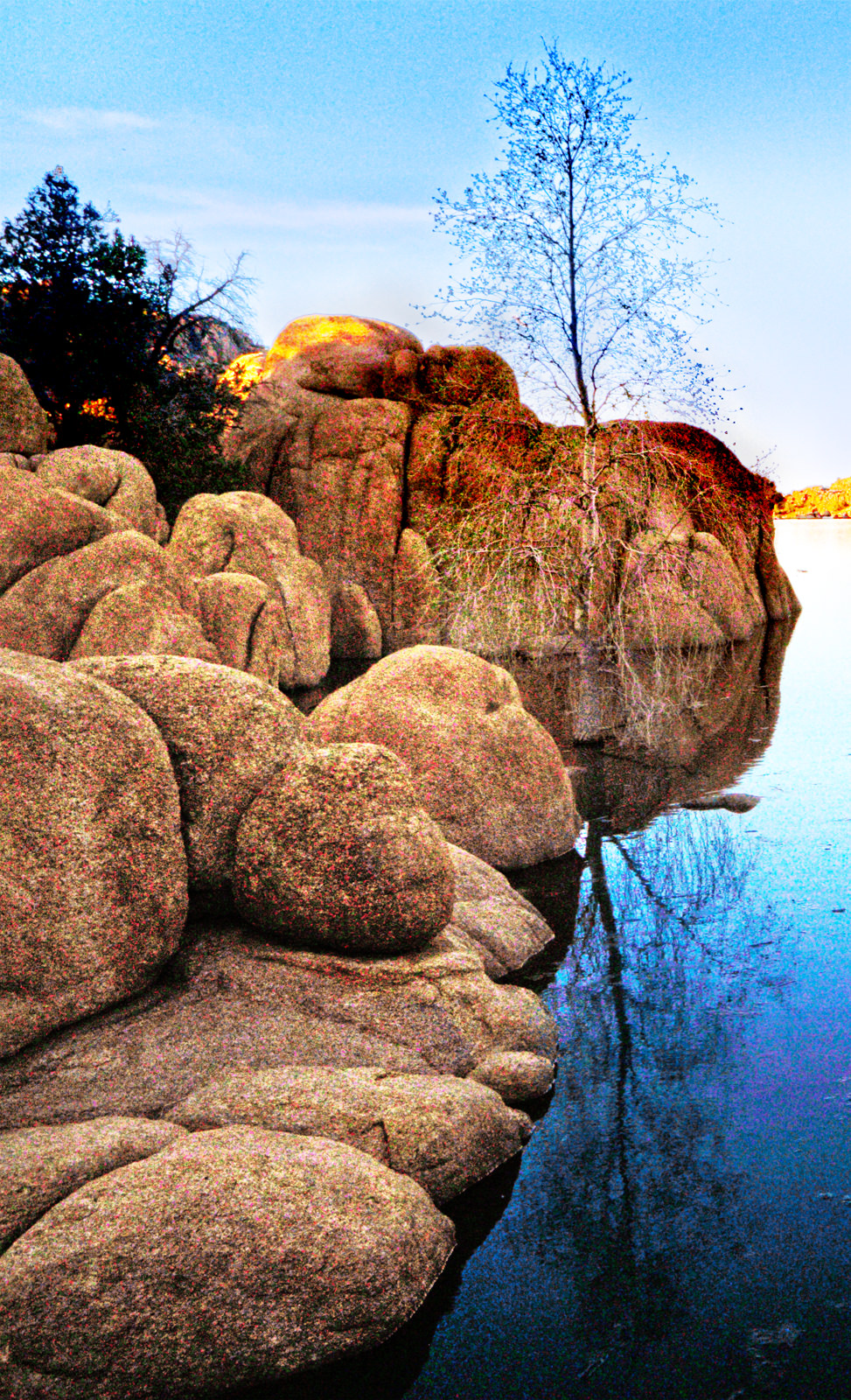 Cove at Watson Lake