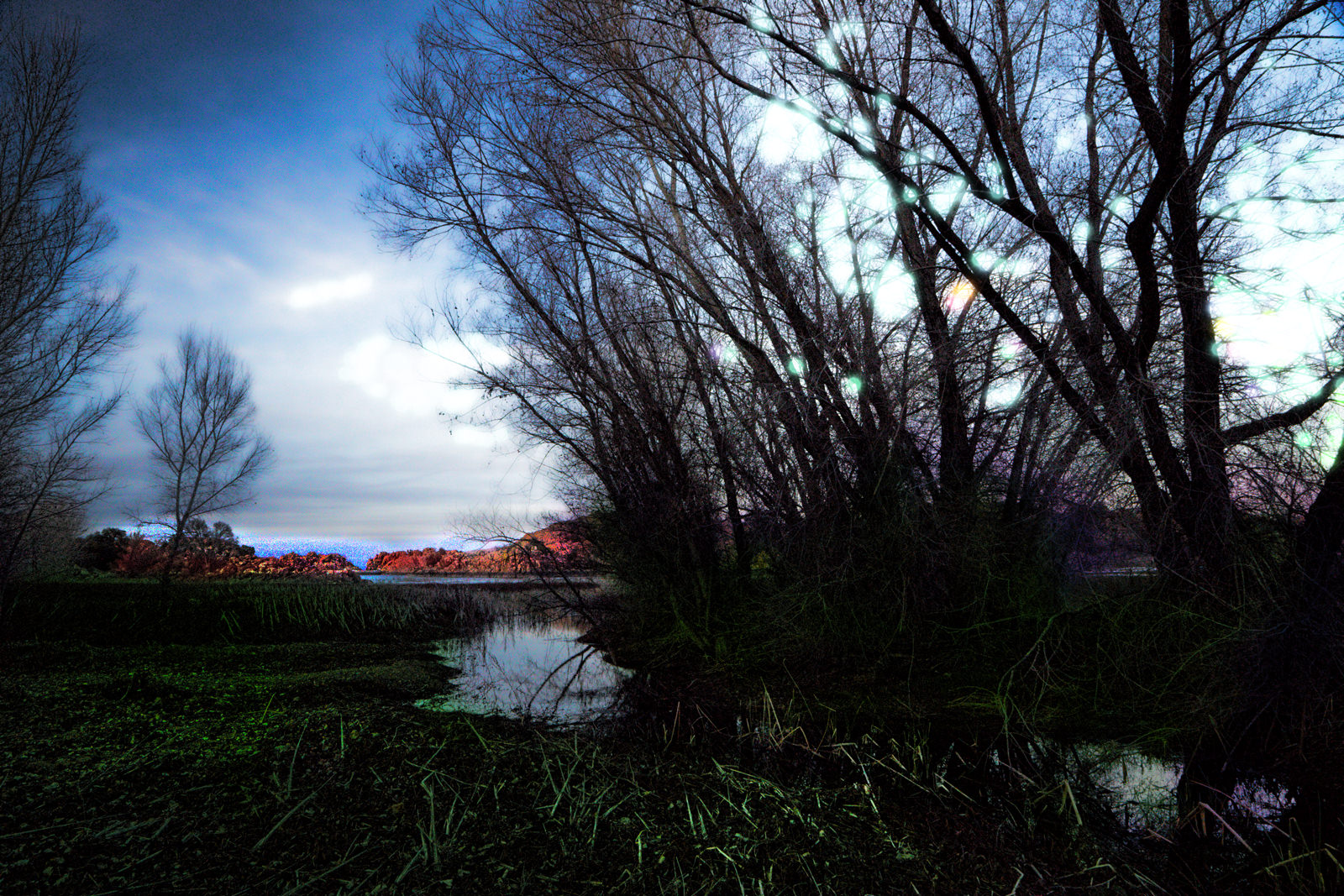Willow Lake from Willow Lake Rd.