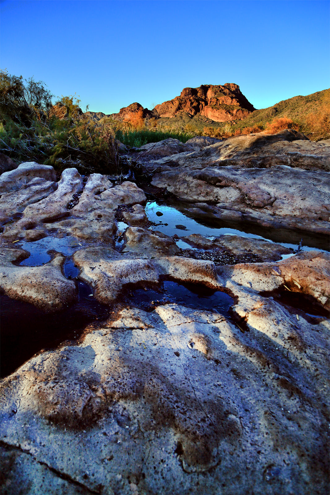 Red Mountain from Salt River
