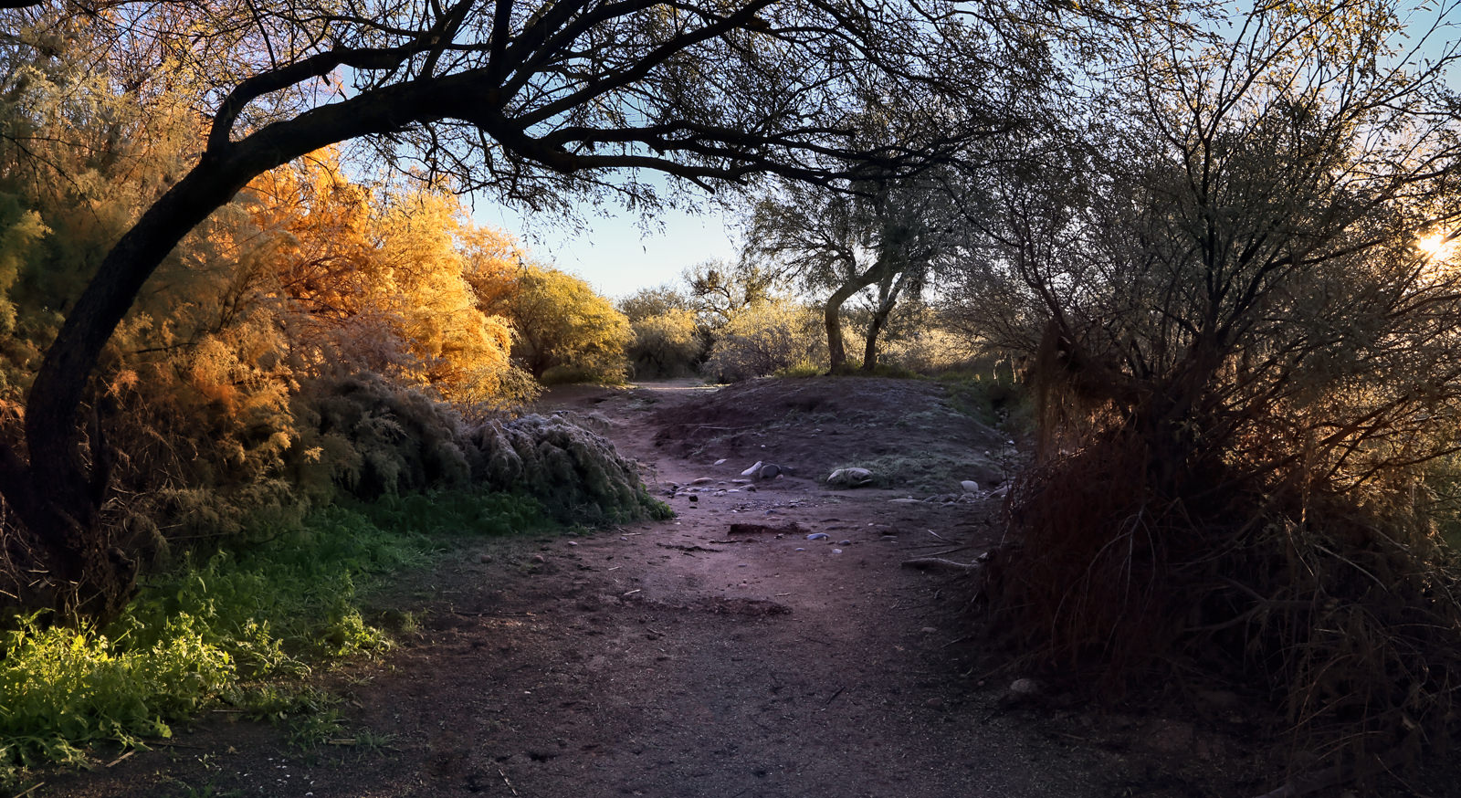 Path at the Salt River