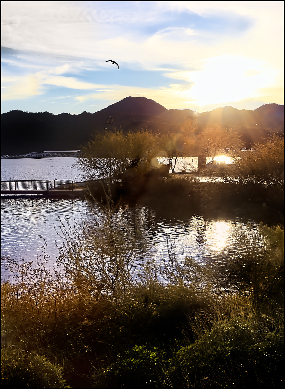 Sunrise at Salt River