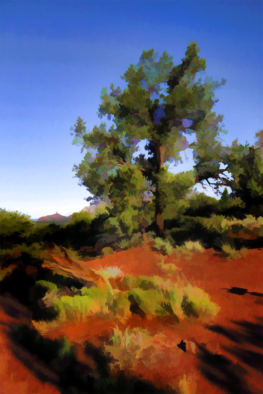Schnebly Hill