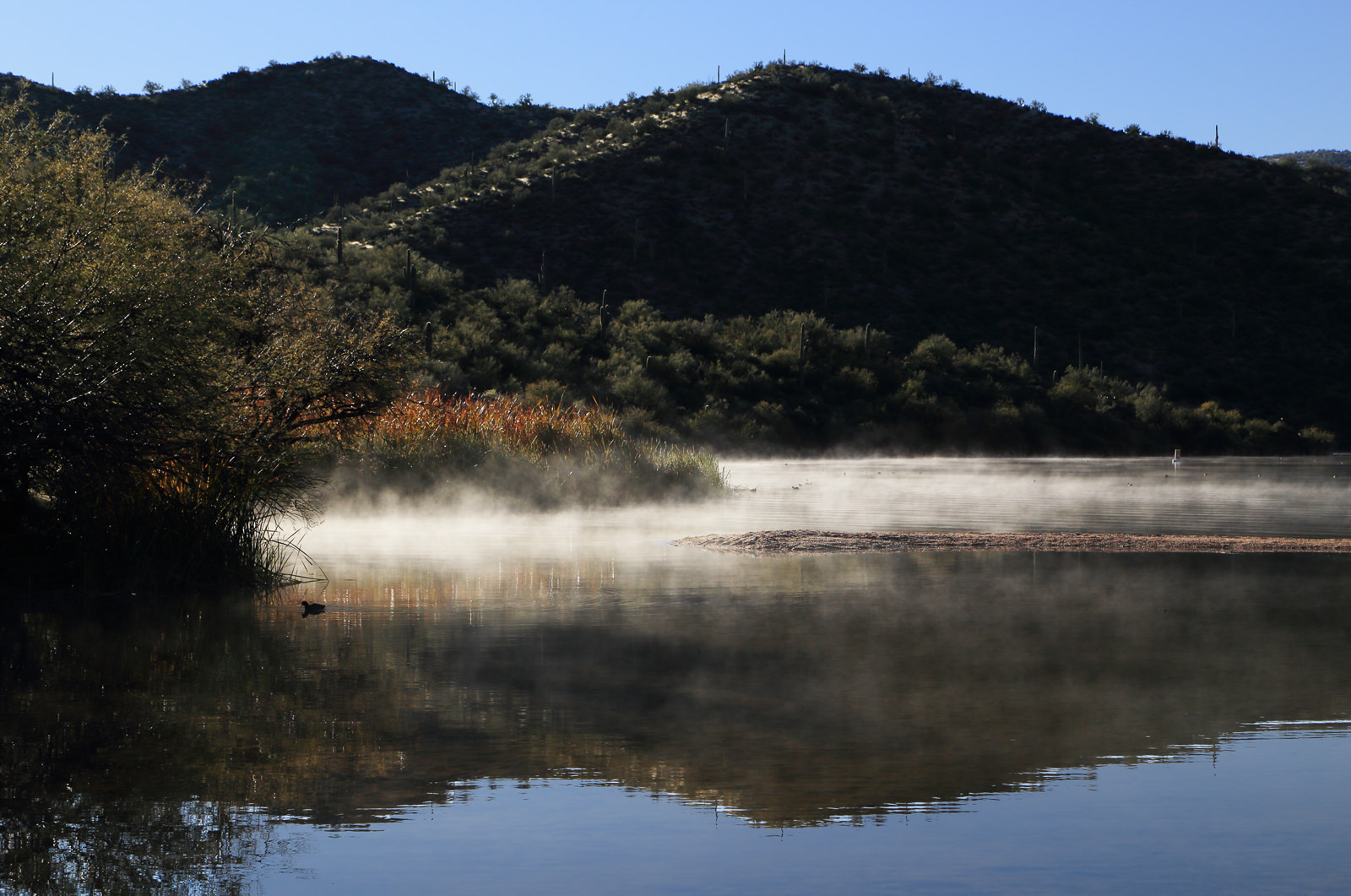 Morning Mist at Butcher Jones Recreational Area in Tonto National Forest