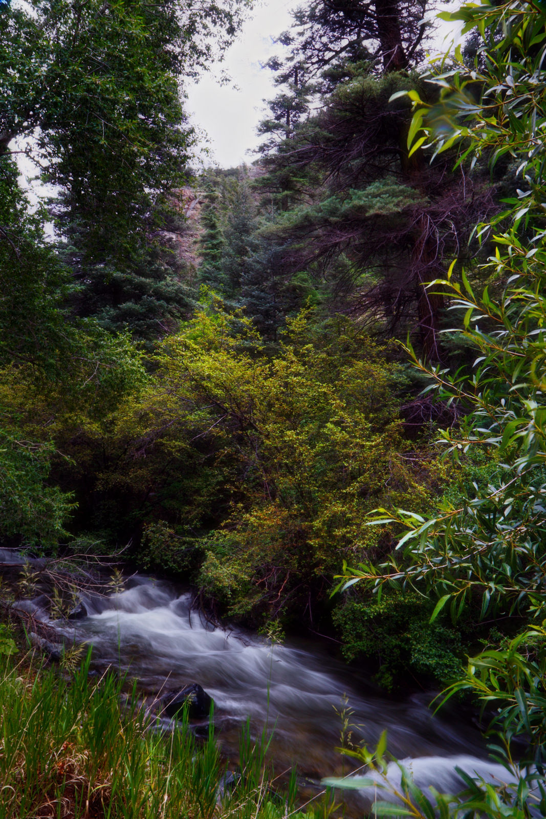 Stream at Arroyo-Seco