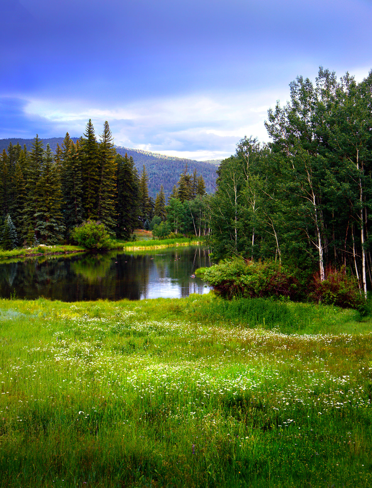 Mountain Lake